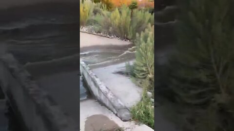 Flash Flood Waterslide