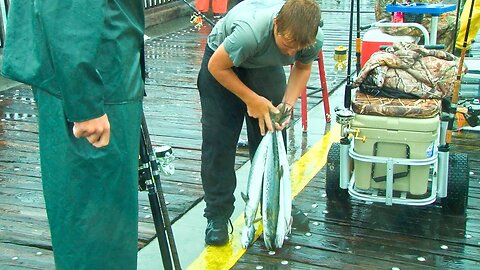 Pensacola Beach Fishing Pier - it's on!