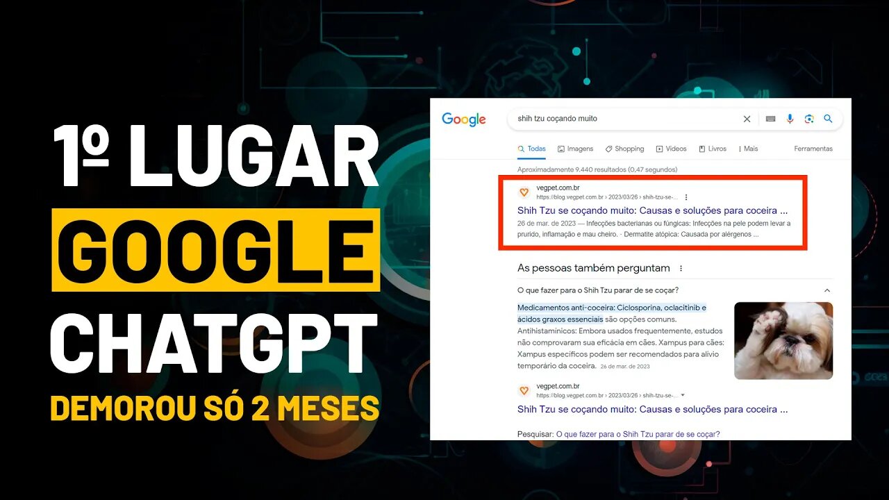 1ª POSIÇÃO DO GOOGLE EM 2 MESES Blog Com ChatGPT