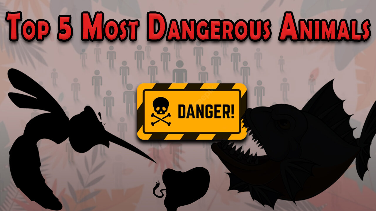 Top 5 most dangerous animals