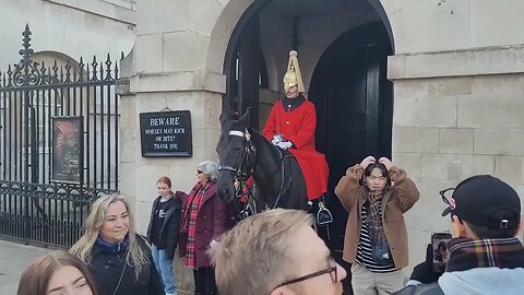 The kings guards horse not liking tourist #thekingsguard