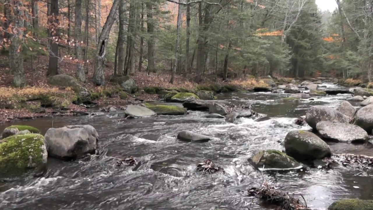 Babbling Brook Song by David Gordy