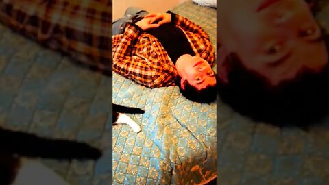 Declan O'Rourke : Sarah (Last Night In A Dream) #shorts