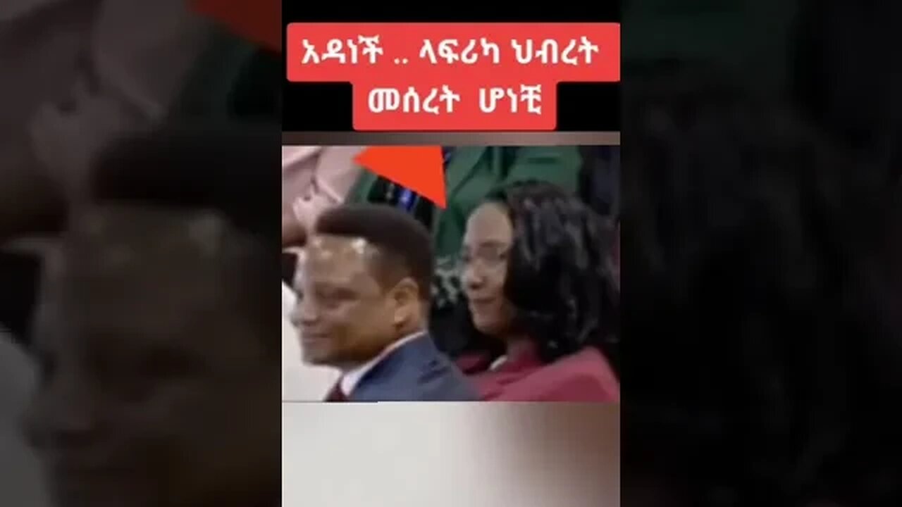 አዲሰ አበቤዎችን በቃ አትንኩን ተነሳብን።አዳነች በጥብጤ ተይ አሁንሰ በዛ