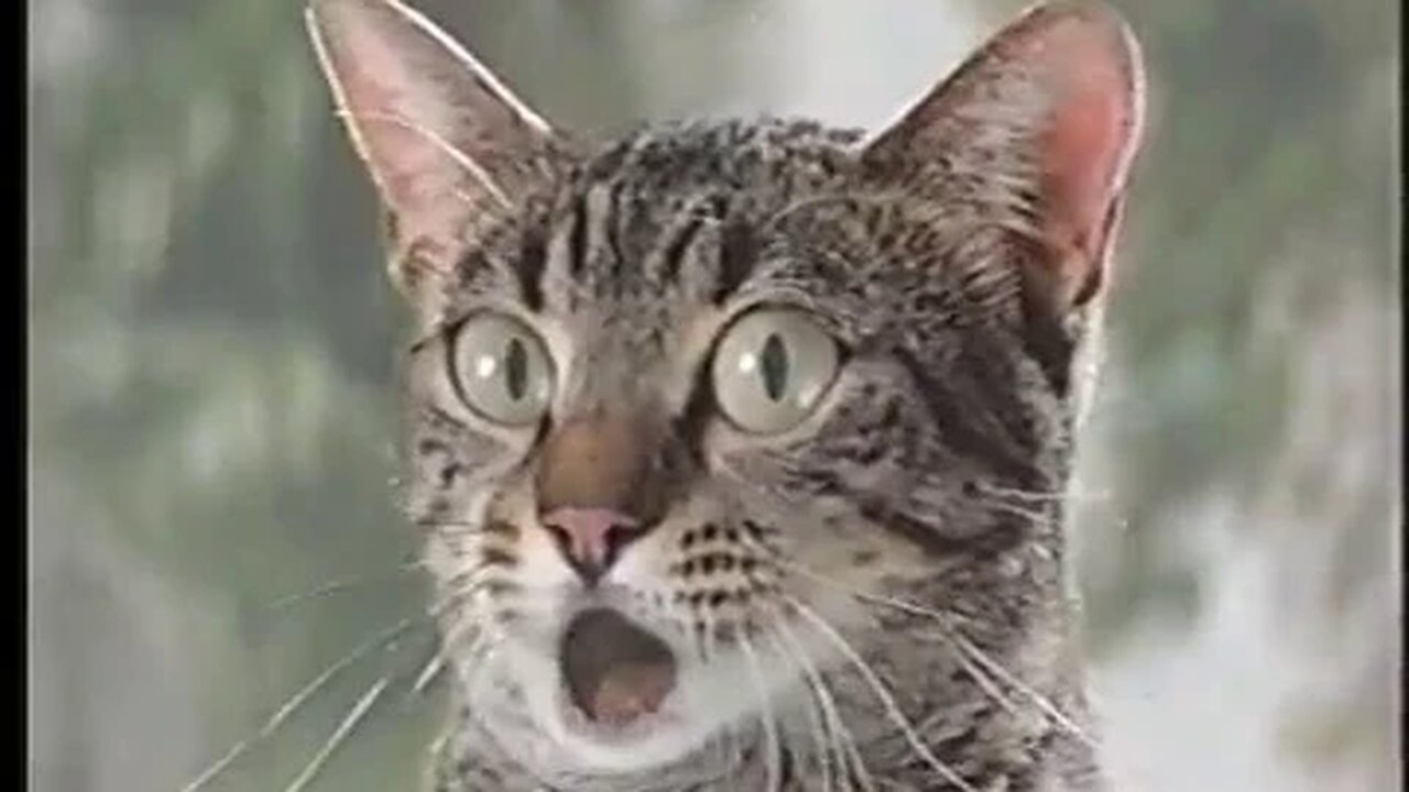 Travel Channel commercial break (March, 1997) Part 1