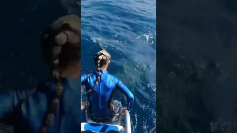 سباحة أمريكية تنجو من قرش فى اللحظة الاخيرة 🦈
