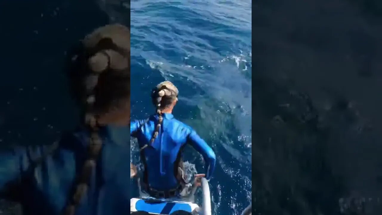 سباحة أمريكية تنجو من قرش فى اللحظة الاخيرة 🦈