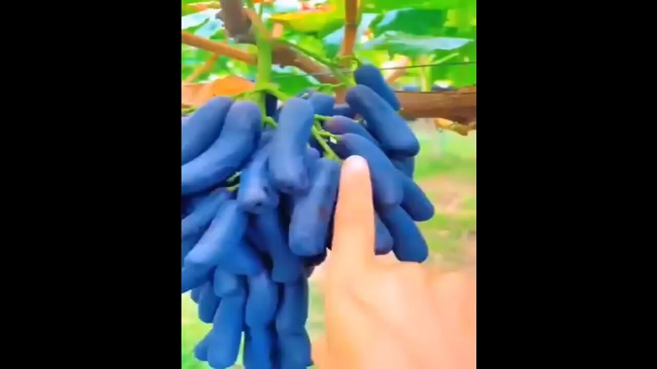 chines fruit amazing videos viral