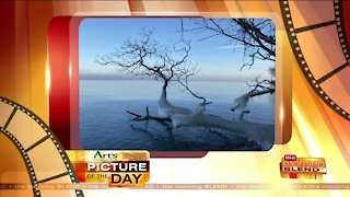 The Art's Cameras Plus Picture of the Day for February 3!