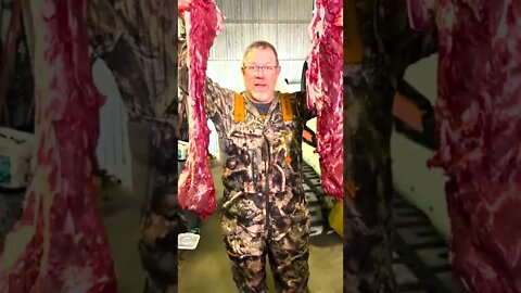 How to properly measure a deer #short #deer #deerhunting
