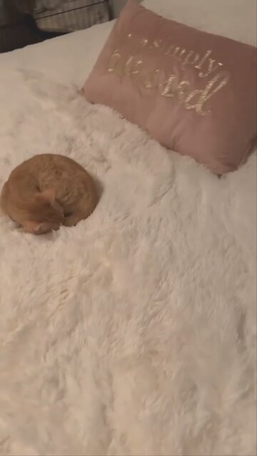 This Thing Called Love