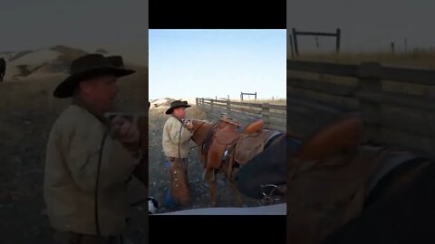 How to Get Bulls Through a Tunnel