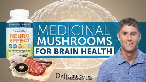 Medicinal Mushrooms for Brain Health