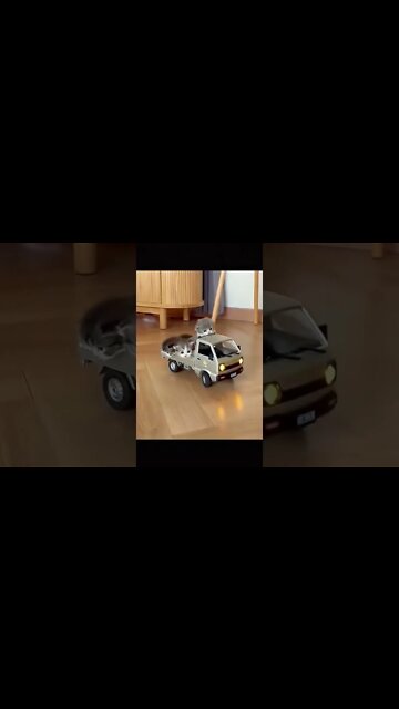 kucing lucu main mobil mobilan🐱 #shorts #cat