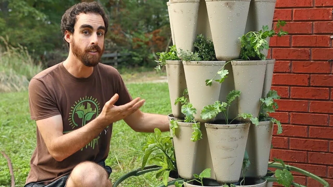 Vertical Gardening: Grow More Food in Less Space