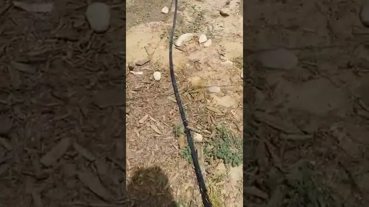 An OLD video when we just started our farm.