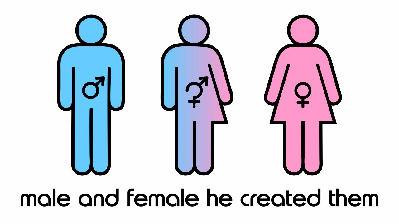 Male and Female He Created Them - A Study with OneSource Ministries