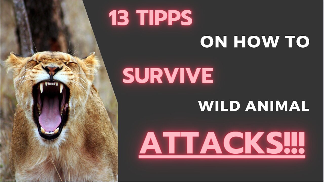 13 Tips on How to Survive Wild Animal Attacks !!