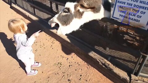 FORGET CATS! Funny KIDS vs ZOO ANIMALS are WAY FUNNIER! - TRY NOT TO LAUGH 2021