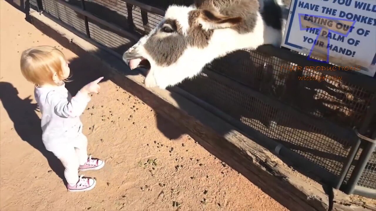 FORGET CATS! Funny KIDS vs ZOO ANIMALS are WAY FUNNIER! - TRY NOT TO LAUGH 2021