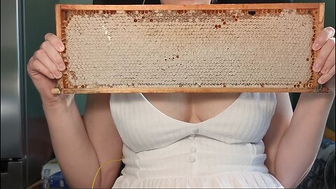 asmr eating raw honeycomb just from the beehive
