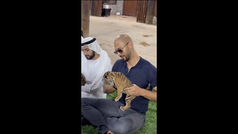 ANDREW TATE HOLDING A BABY TIGER