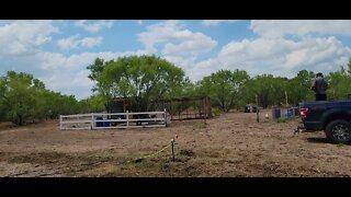 Knocked the fur off it. Skunk problems equal rifle time. Winchester 1894