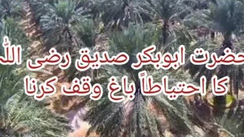 Sahba ki Zandgi | How to Islam | Hazor-e-Aqdas Saw ki Zandgi | Fazal-e-Amal | Islamic Studies |Islam