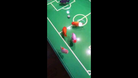 Unbelievable Fish football player/ messi⚽️