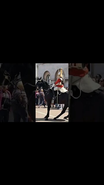Everyone is in the way #horseguardsparade