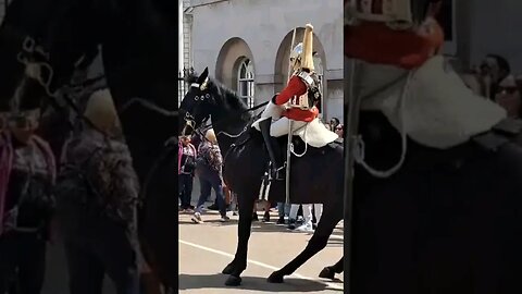 Everyone is in the way #horseguardsparade