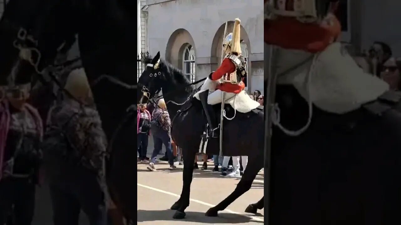 Everyone is in the way #horseguardsparade