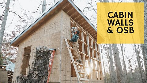 Sheathing Cabin Walls - Cabin Build Ep.13