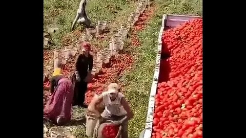 A Masterclass in Creative Fruit Throwing