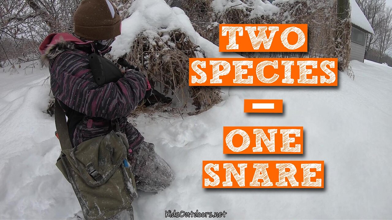 S2:E3 Mink in a Rabbit Snare Plus a Tragic Surprise | Kids Outdoors