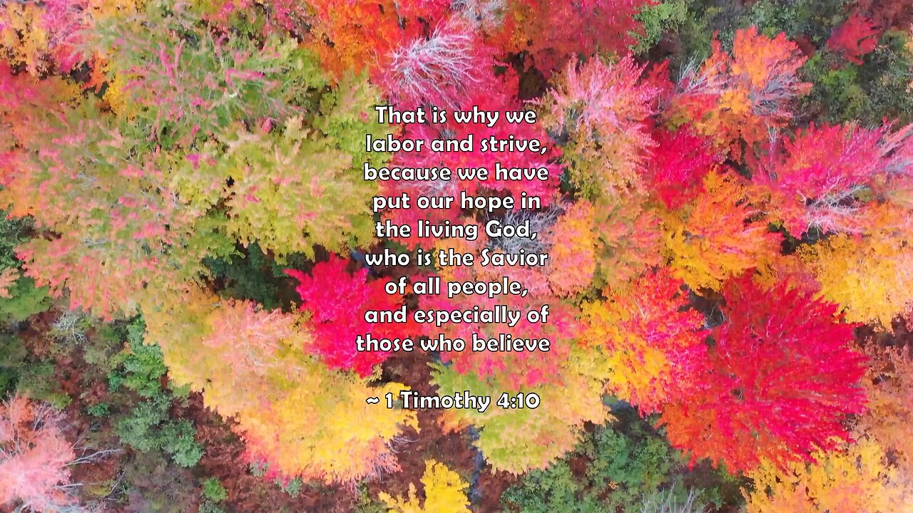 Bible - 1 Timothy 4:10 #quotes #god #jesus