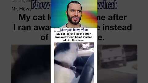 How does it feel, Mr. Mowsers? 🙀