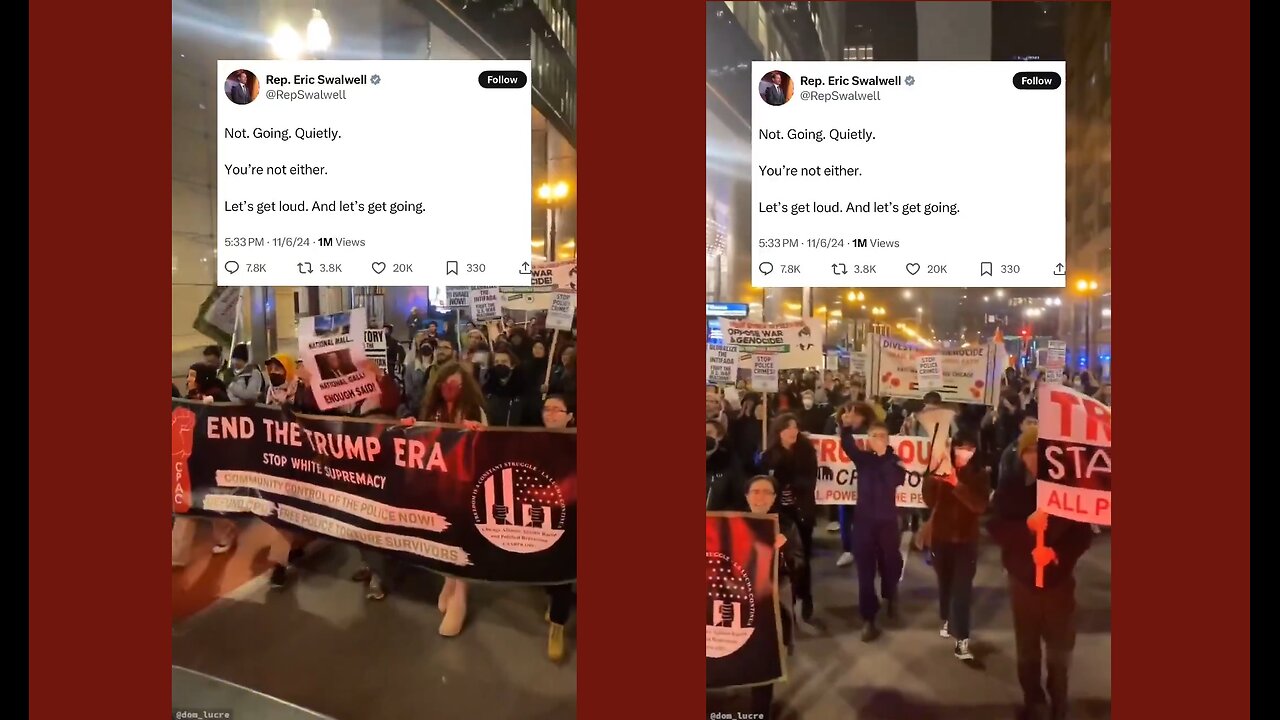 Dems Rent-a-Mobs: Complete Kit with Central Casting, signage & megaphones