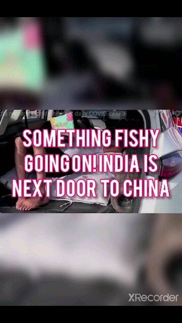 SEEMS LIKE SOMETHING FISHY IS GOING ON