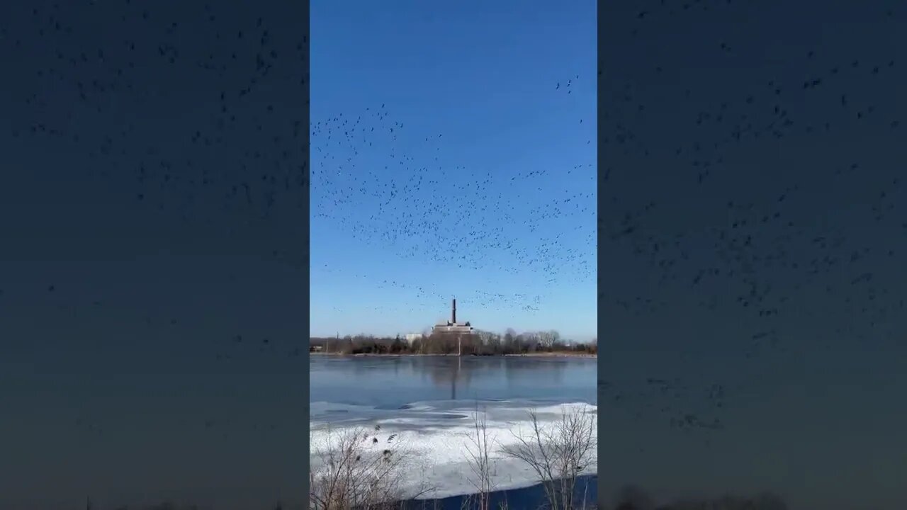 Abandoned Powerplant protected by drones