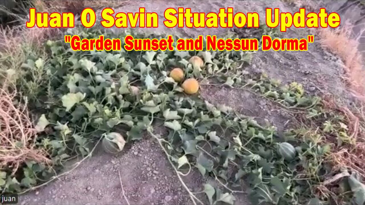 Juan O Savin & David Rodriguez Situation Update Oct 2: "Garden Sunset and Nessun Dorma"