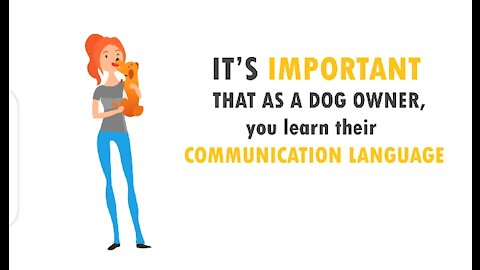 How to understand your dog better&dog communication