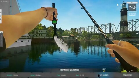 Ultimate Fishing Sim 2 Folge 12 Kiel Hornhecht