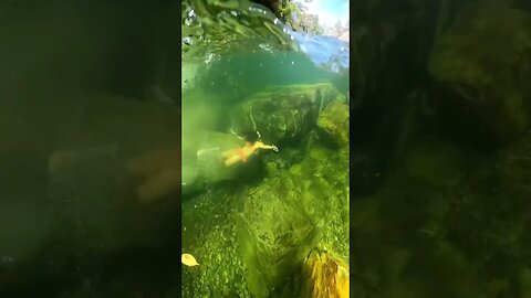 Aquele mergulho nas águas cristalinas do Poço do Egito
