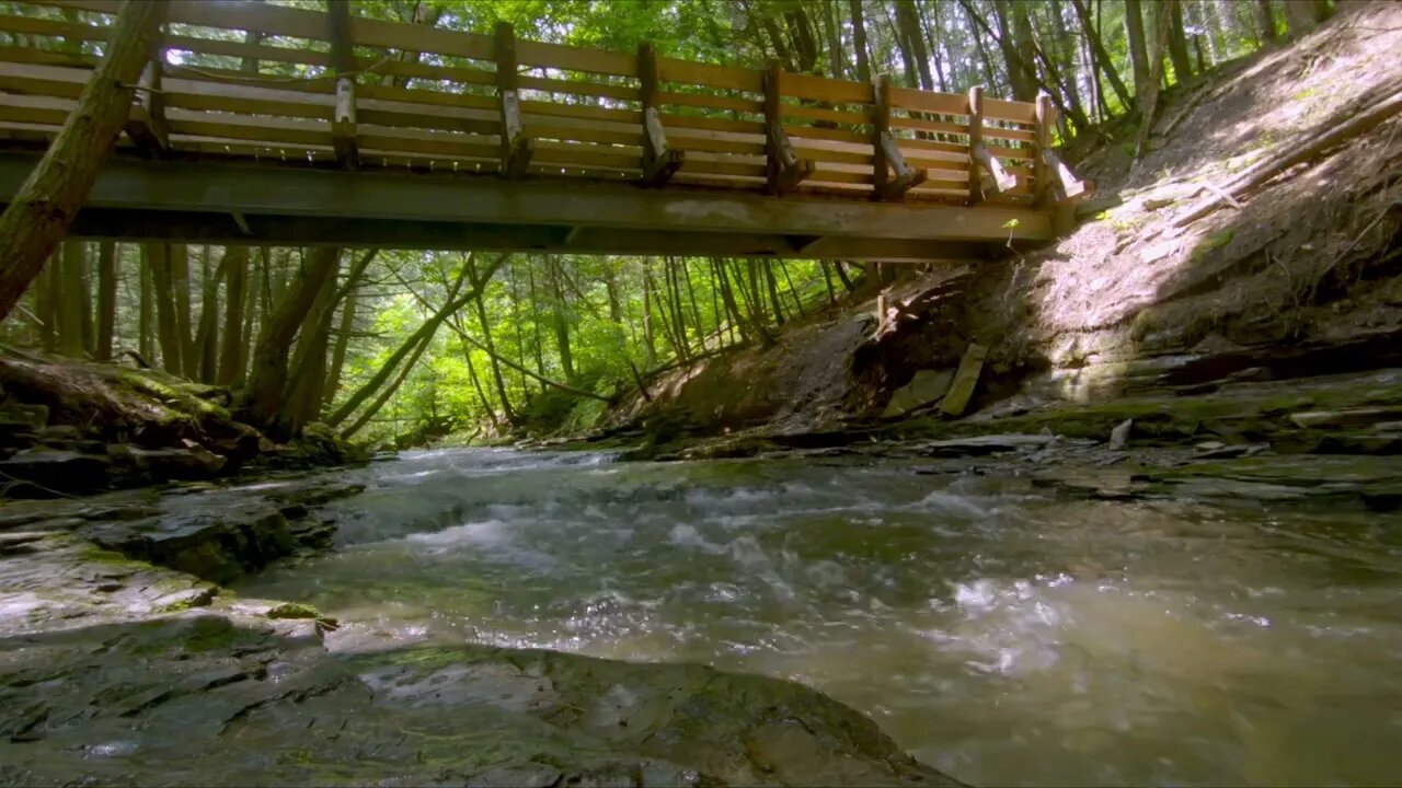 Water Under The Bridge