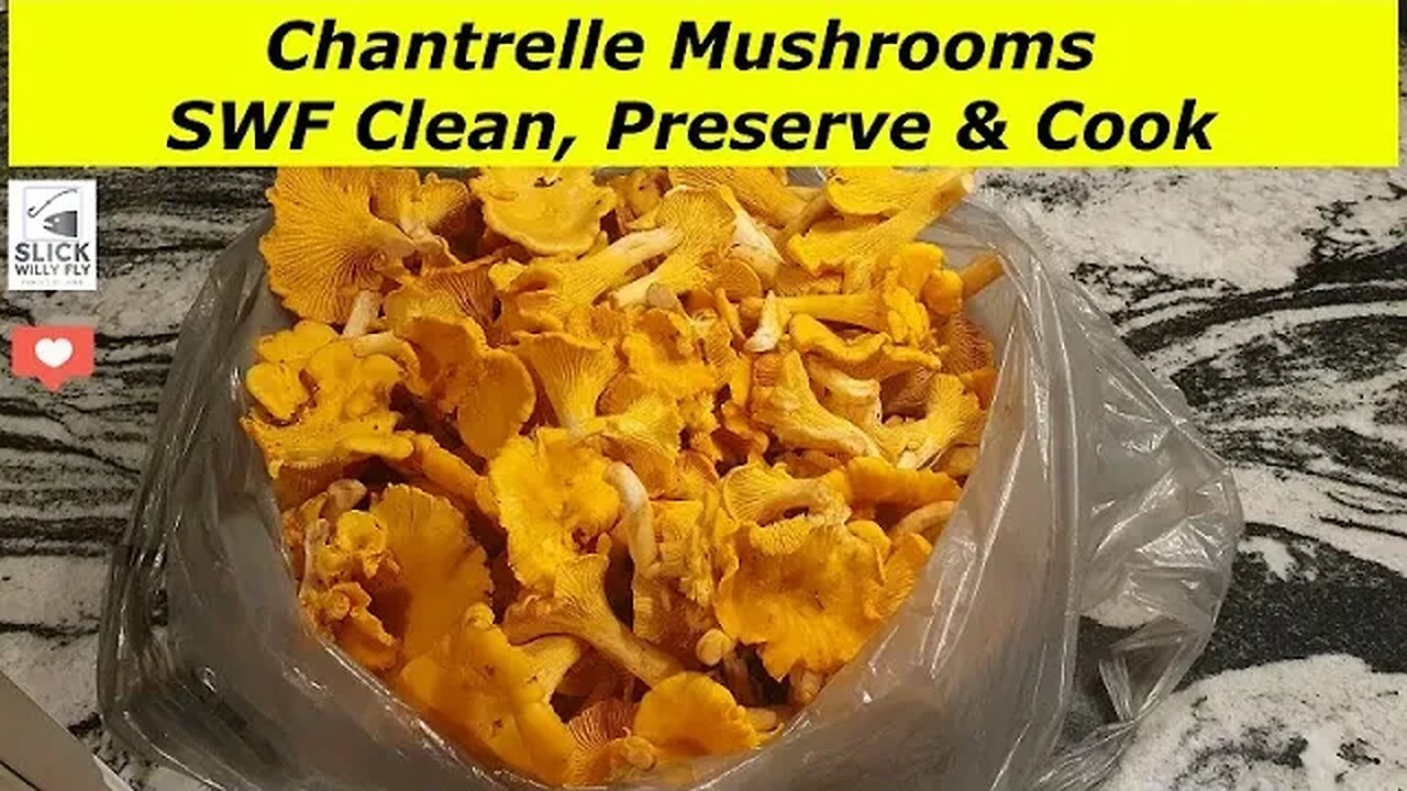 SWF Chantrelle Mushrooms Clean Preserve & Cook