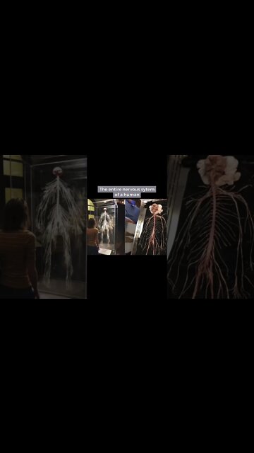 Things that you Need to See Before You Die #shorts