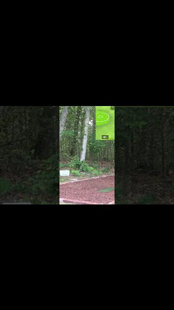 Hole 16 - Sedgefield CC #Shorts #Golf #GarminR10 #SimGolf #YoutubeShorts