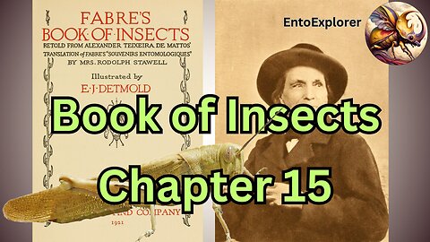 Life of the Locust - Book of Insects Chapter 15 by Jean-Henri Fabre