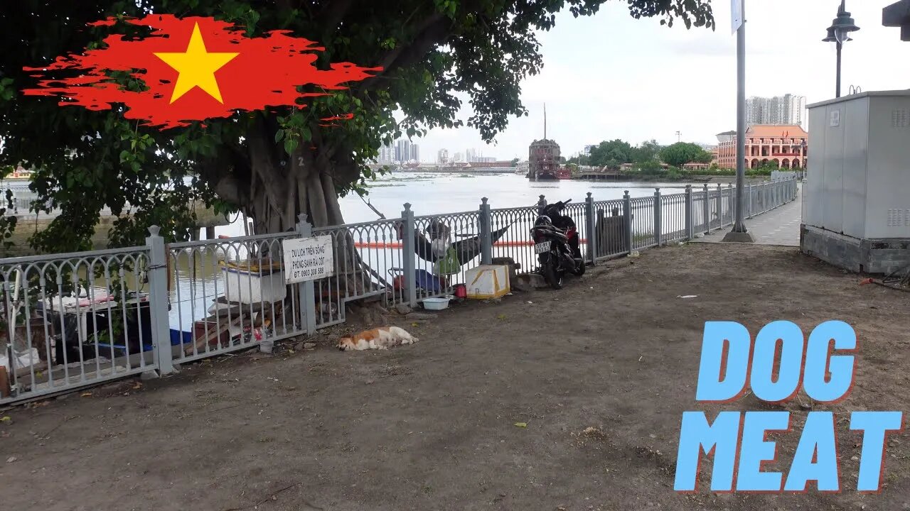 Vietnamese are TURNING their Back's on this Meat ! 🇻🇳